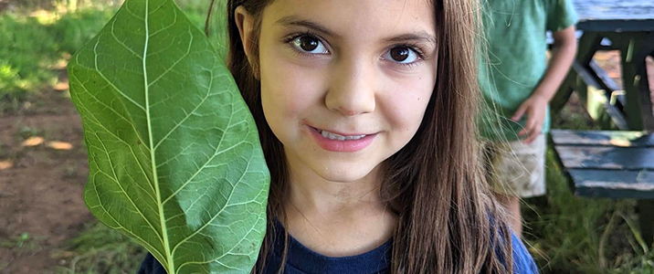 non-stop-action-plus-outdoor-play-img-v2